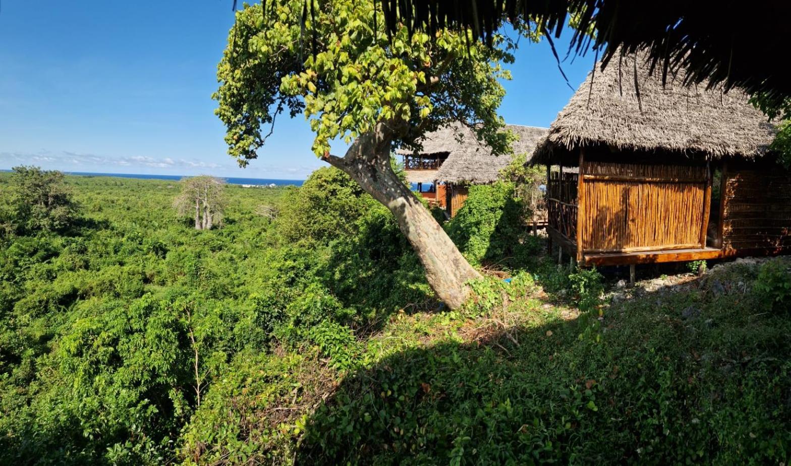 Monkey Mountain Lodge Mtende Exterior photo